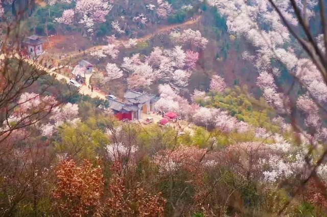 门票:80元/人 地址:湖北省武汉市黄陂区蔡店街清凉寨景区 咨询电话