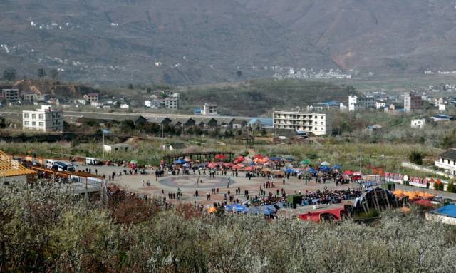 汉源“梨花节”即将开幕，花海盛景等你来！