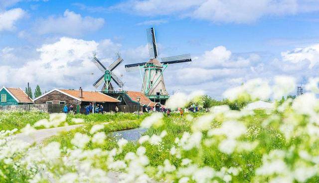 荷兰护照、2019荷兰高技术移民申请条件,移民