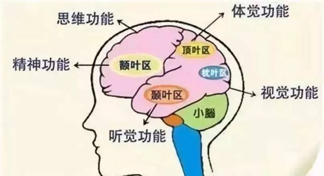 临床上统计脑卒中后左侧忽略症的发病率为10%～82%,右侧忽略症的发病