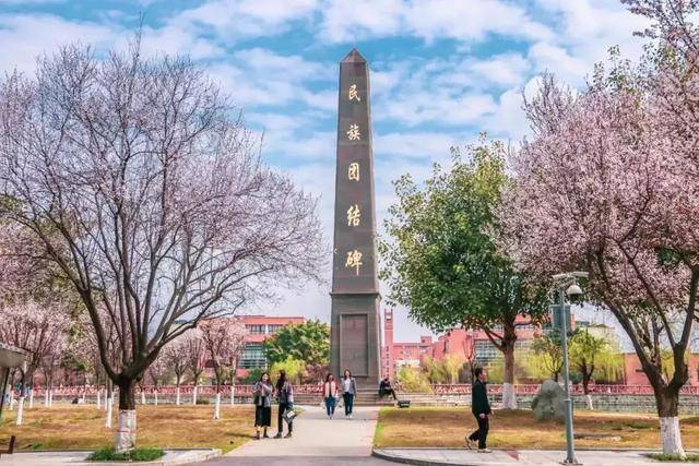 西南民族大学空港校区,正式进入粉色的恋爱季,走到校园里哪都是甜蜜的