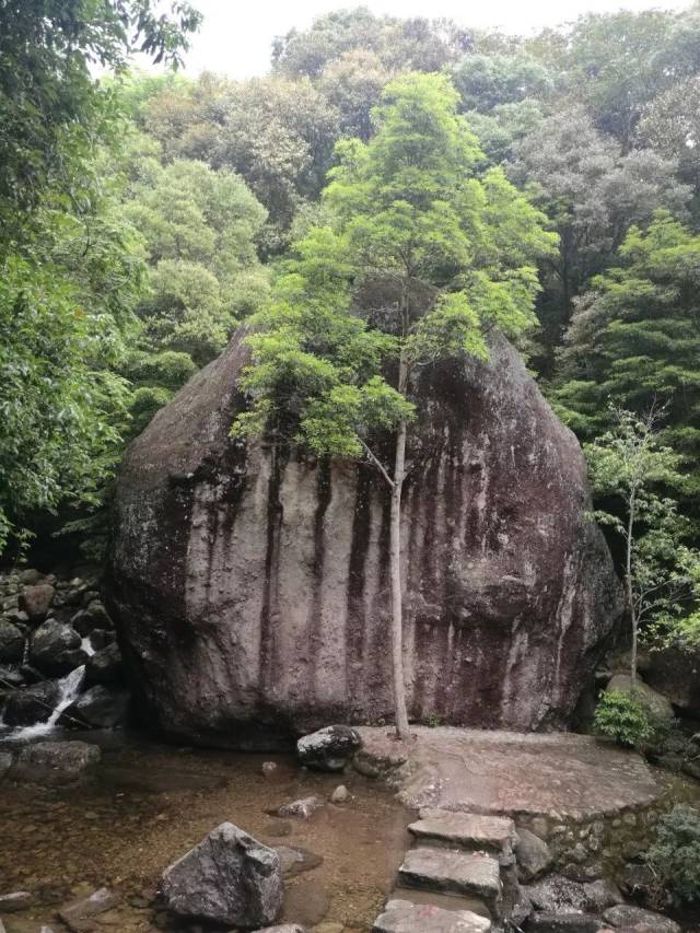 "仙游四大名景"之一菜溪岩传说有一百多景