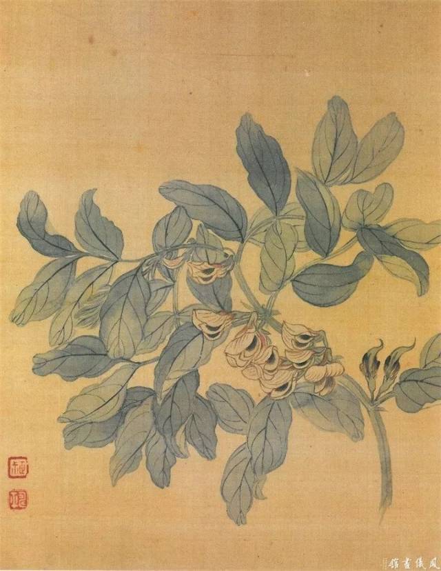 恽寿平235幅没骨花鸟画精品欣赏
