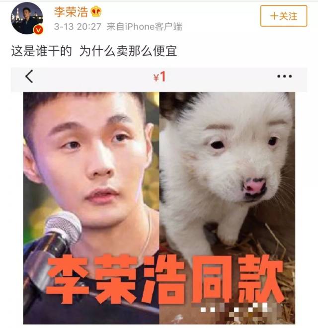 李荣浩同款狗狗上热搜,明星们与动物撞脸也太搞笑了!