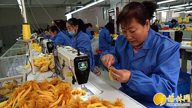 3月11日,在位于绥德县名州镇高新花园的毛绒玩具社区工厂里,员工们在