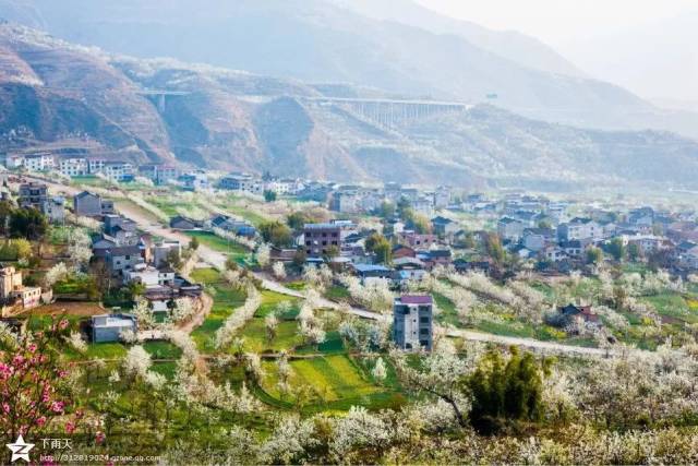 汉源“梨花节”即将开幕，花海盛景等你来！