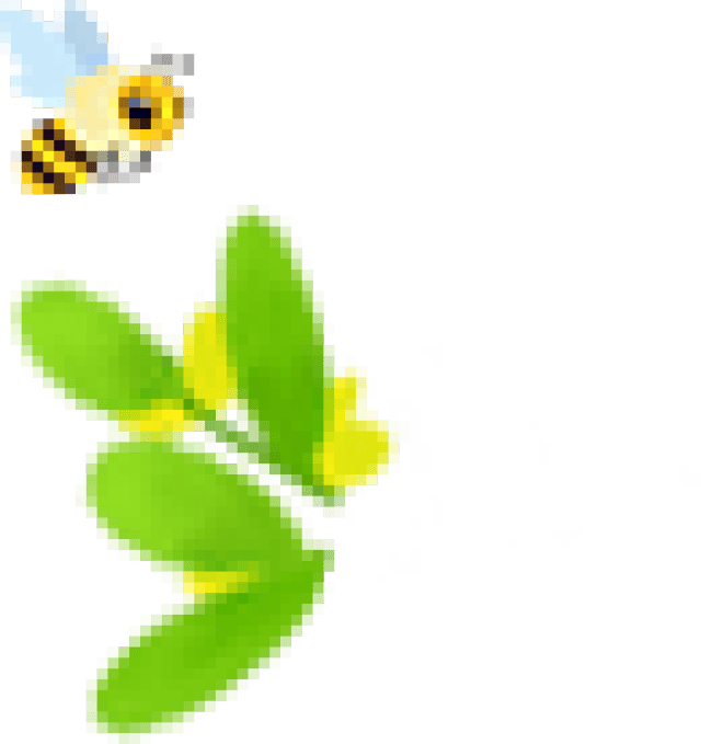 汉源“梨花节”即将开幕，花海盛景等你来！