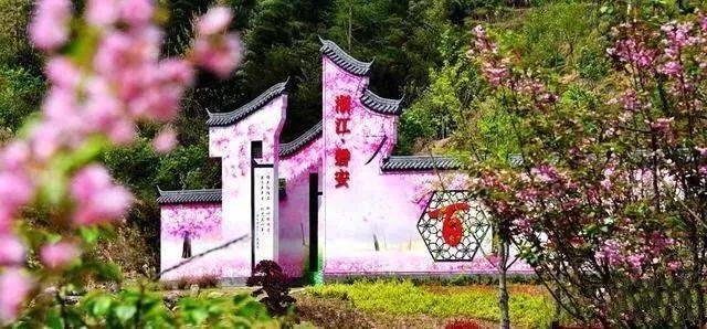 【特价138元】3月21/23/24 磐安百里樱花谷不容错过,想要的"樱"有尽有