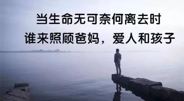 保险是责任是爱是尊严 保险的尊严
