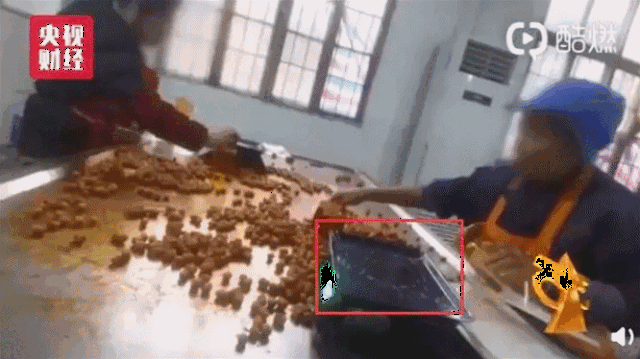 重磅!央视315晚会刚刚曝光!这些黑心产品就在合肥人身边…