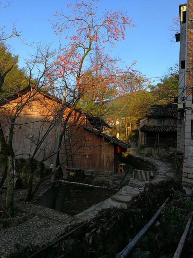 探村台州黄岩|半山古村,清溪古道梨树石屋,静享山居之