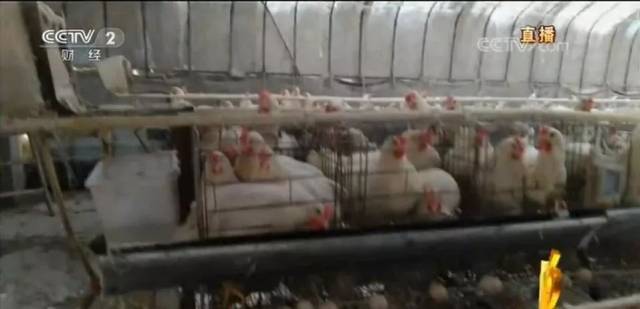 太黑心了!央视3·15晚会大曝光,山东有这些!