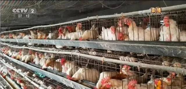 太黑心了!央视3·15晚会大曝光,山东有这些!