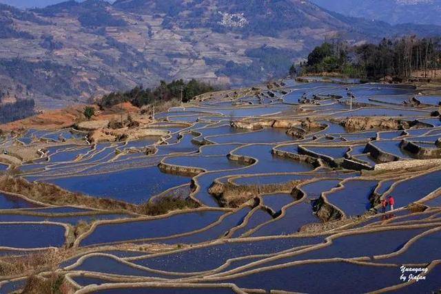 昆明,元阳梯田,红河,建水,普者黑,罗平,东川红土地 十日