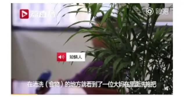 厨丝：315晚会央视又曝光了哪些食品安全问题