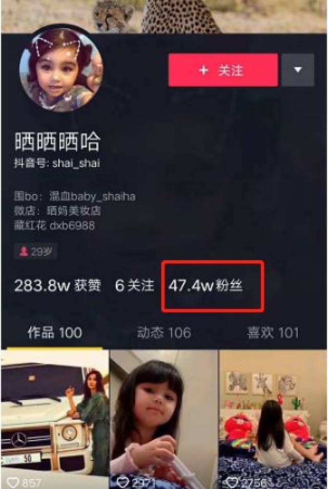 抖音90后网红富婆,做身价760亿迪拜王子的小老婆是一种什么体验?