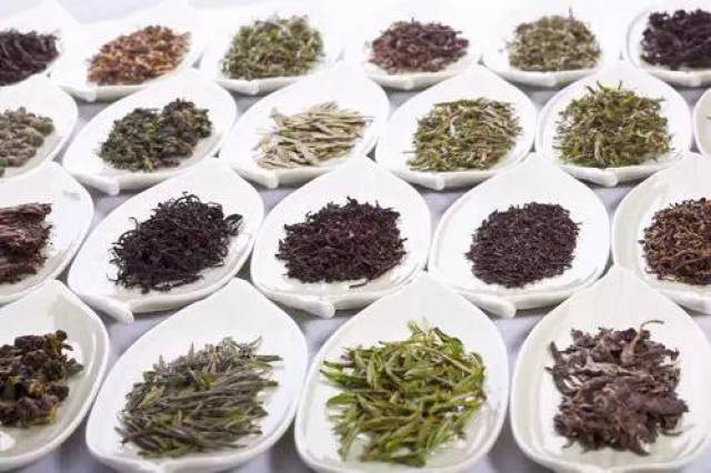 茗茶的功效与作用 搜狐网