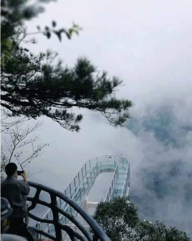 480_602 竖版 竖屏