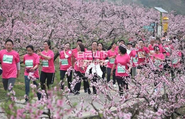 3月每周三/六/日金峰长乐发团【特惠99元起】福安白云山赏万亩桃花,探
