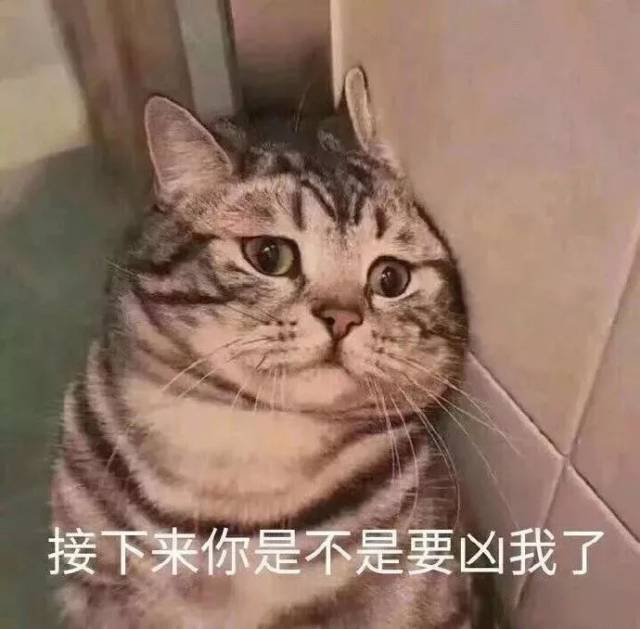 微信套路表情包:找了很久的40个卖惨表情包,聊天好用