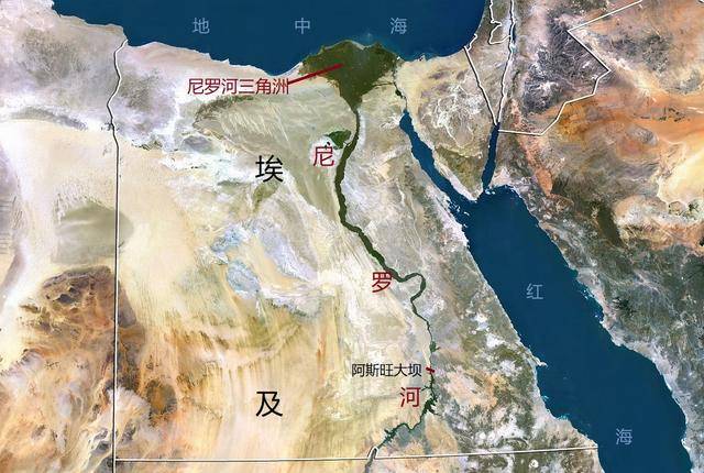 原创埃及"阿斯旺大坝"的修建结束了尼罗河的泛滥,却带来了生态危机