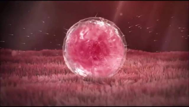 日本性教育短片火遍网络!看到最后竟被感动了