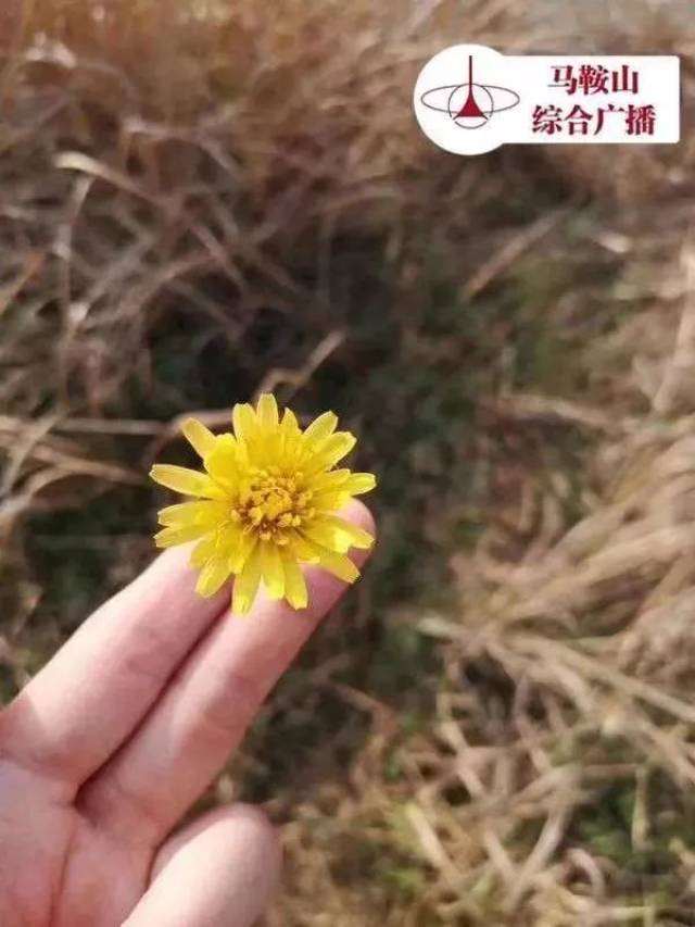 春风十里《静待花开》带你寻找属于这个季节的味道