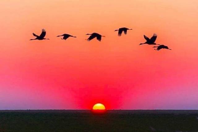 人的一生会遇到多少人? 谁又能陪你到最后?