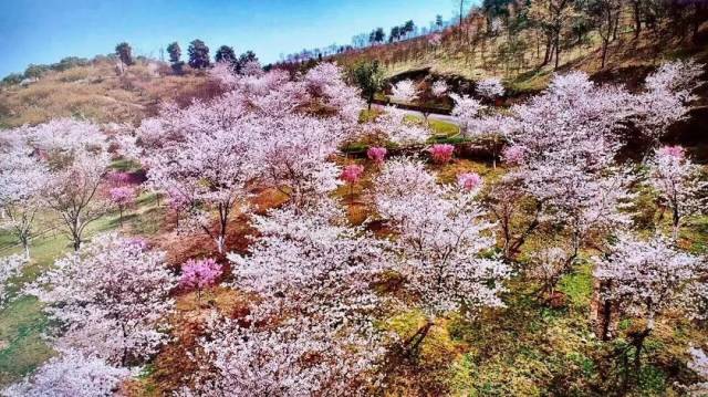 陆 江北绿野山居