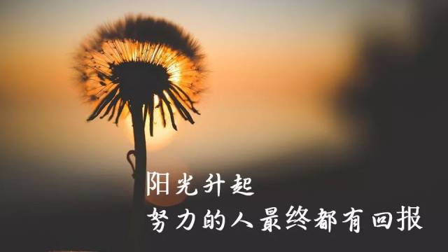 早上励志 无论你此刻是否迷茫,在阳光升起的时候请相信,努力的人