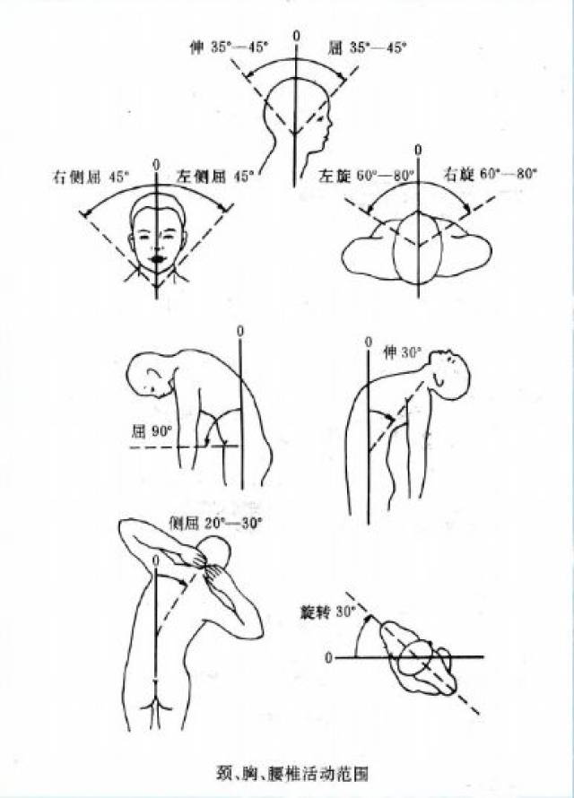 动诊: c7至尾骨尖呈一直线,头竖直为脊柱的中和位,即0度.