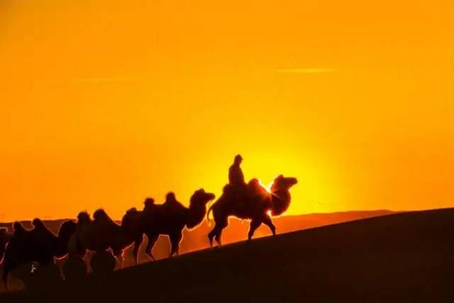 人的一生会遇到多少人? 谁又能陪你到最后?