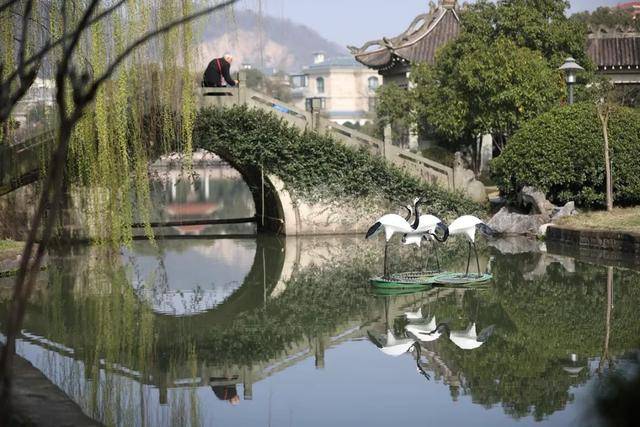 春到慈溪,看哪个地方的春色最动人!