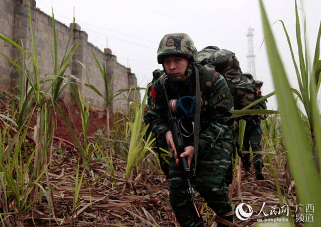广西崇左:武警特战队员砺剑南疆深山密林