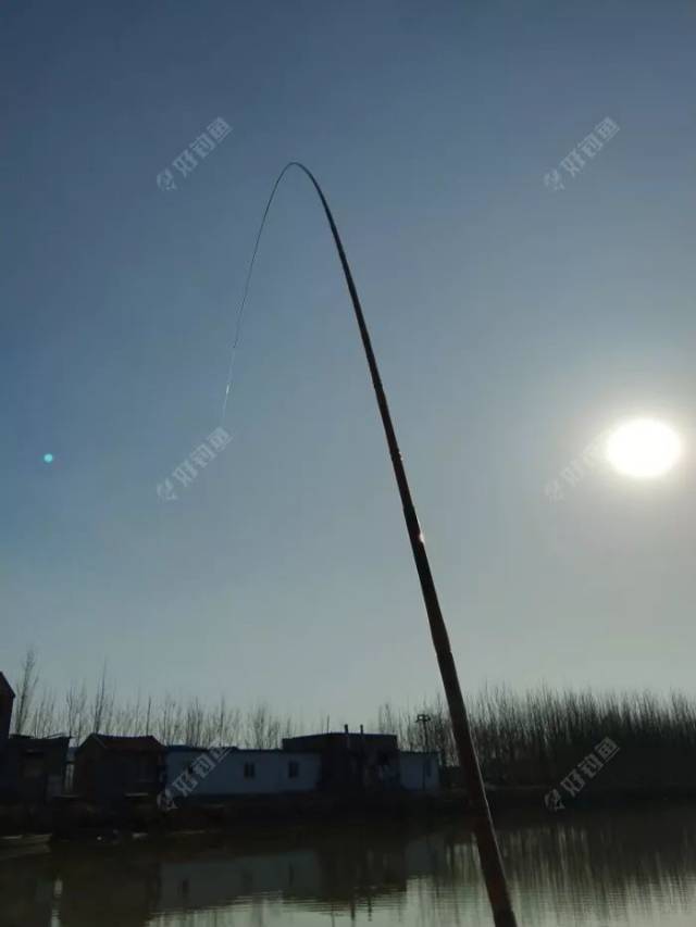 钓鱼日记:连中三元,青草鲢鳙上岸