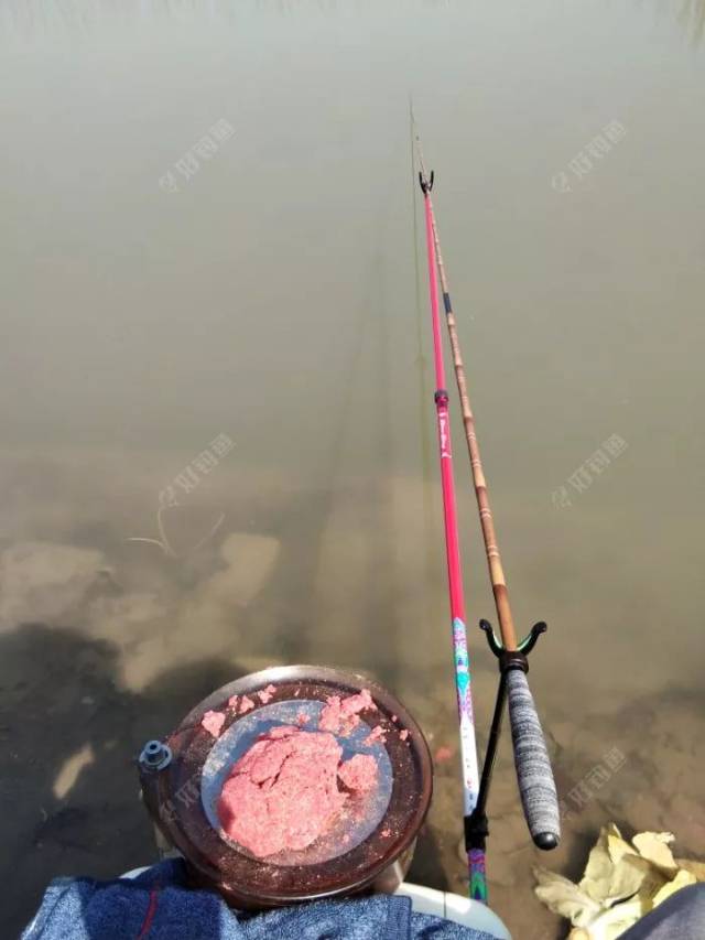 钓鱼日记:连中三元,青草鲢鳙上岸