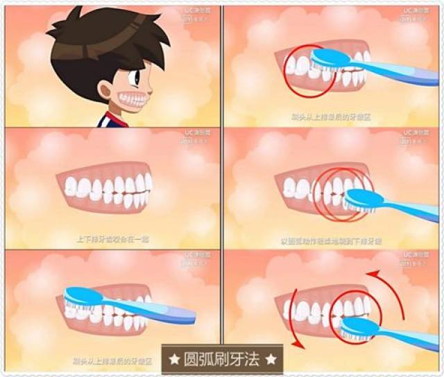 二,掌握正确的刷牙方法 如果学龄前儿童,可以用最简单的"圆弧刷牙法"