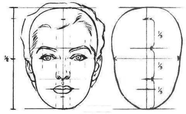 在三庭五眼"的基础美术人脸画法上出现了一个更为精确的标准,各个部位