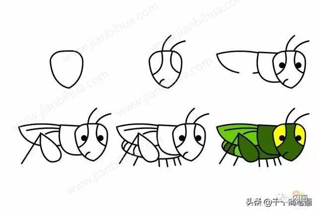 幼儿园动物范画,孩子临摹必备!