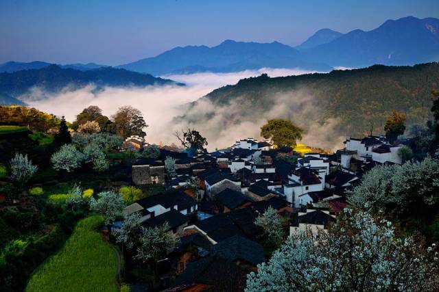 婺源鄣山顶 婺源大鄣山 婺源高山茶 论鄣山村茶史