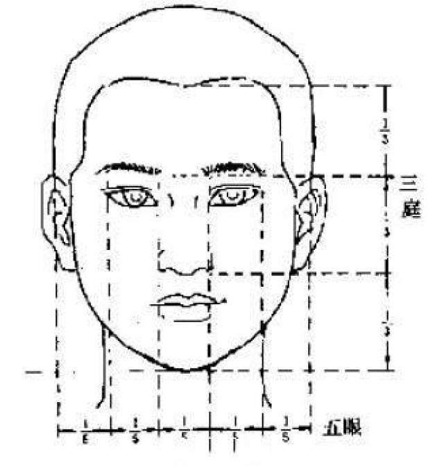 怎样确定三庭五眼