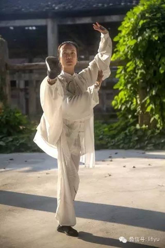 中威|陈氏老架二路