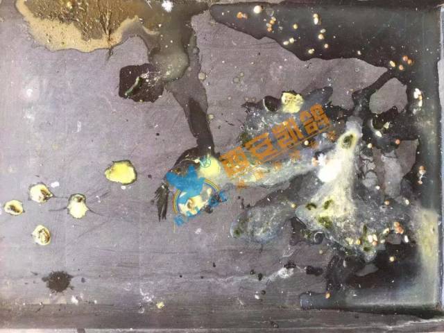 鸽子念珠菌病怎么办