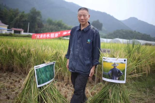 领者Link|周华诚:目光清澈的人,在稻田相见