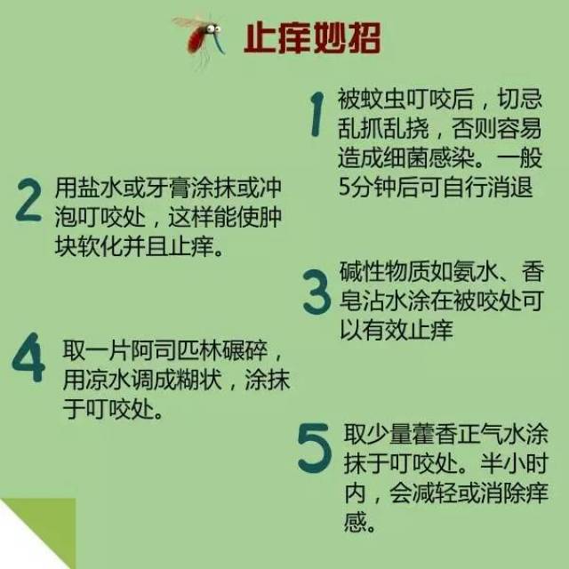 o型血更招蚊子咬?科学教你日常防蚊小妙招