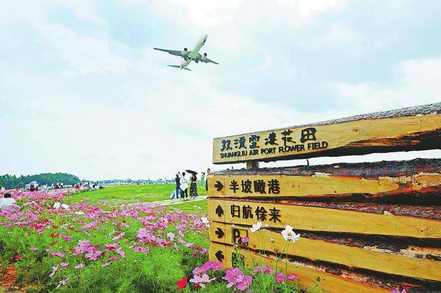 成都2.0版空港花田4月重新开放:6只"大熊猫"迎接飞来客