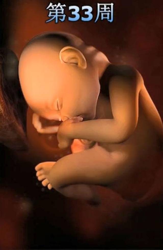 孕期1-40周胎儿在妈妈肚子里长什么样?看完这组彩超就