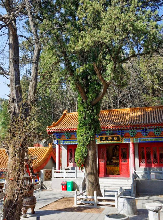 济南长清义净寺:山东省境内唯一一座以高僧名字命名的寺院