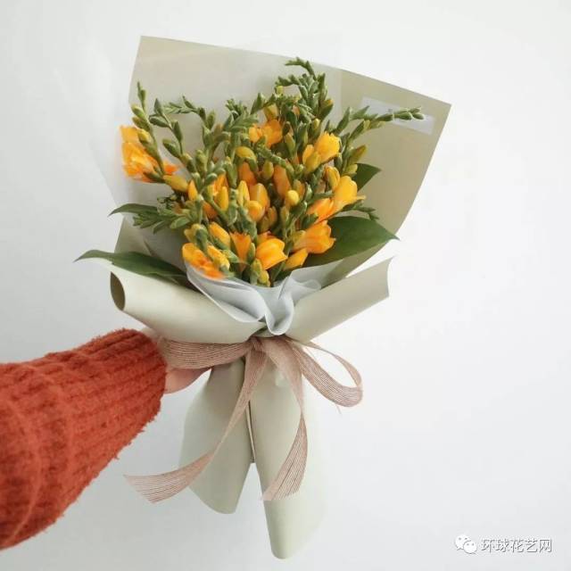 香雪兰花香清幽似兰,扫墓时可以选用白色或黄色的香雪兰,表达了对恋人