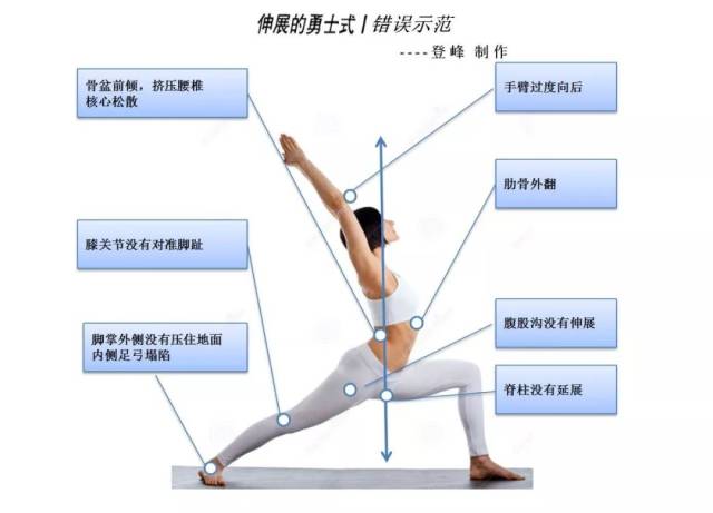 44个瑜伽体式"正位精准练习"解剖图,超详细解说【珍藏